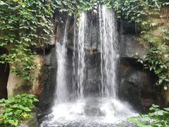 -南山植物园