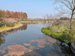 -上海海湾国家森林公园
