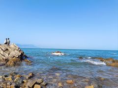 -小麦岛公园