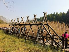 -溱湖国家湿地公园