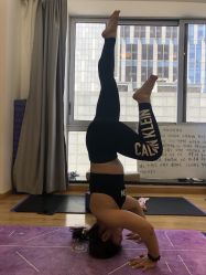 点击看大图 -亚太瑜伽普拉提学院