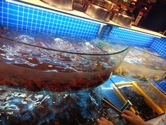 -星伦多自助料理·涮烤一体(虹悦城店)