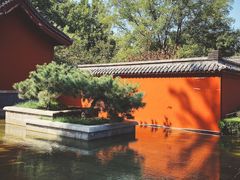 -百脉泉景区