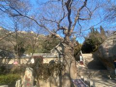 -青岛崂山太清宫