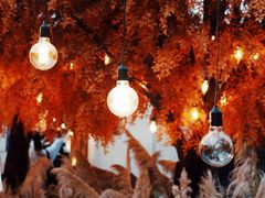 -Blue Concept Cafe&Farm·關於藍