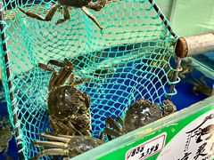 -阳澄湖大闸蟹·琼灵阁牌品牌连锁(吴中总店)