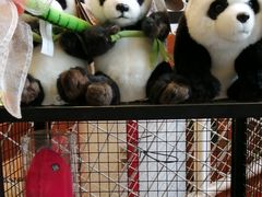 -Behring World of Animals(上海自然博物馆店)