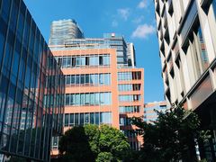 景点-北外滩滨江绿地