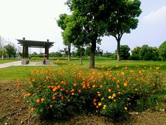 -九里河湿地公园
