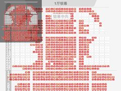 -大光明电影院(南京西路店)