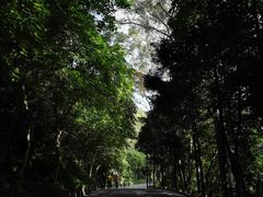 -广州市白云山风景名胜区