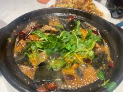 -杨氏青龙虾·羊蝎子(托乐嘉店)