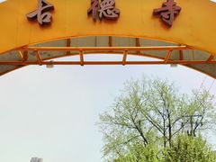 -古德寺