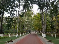 -朝阳公园游乐园