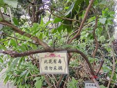 -广州兰圃