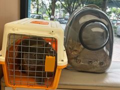 -瑞派康怡24h宠物医院·犬猫医疗中心·微创绝育(瑞景分院)