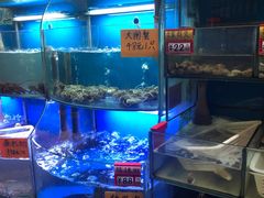水产区-蔚海之都·象山蒸汽海鲜(仙霞路店)