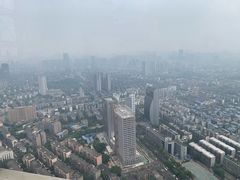 -339旋转餐厅(天府熊猫塔店)