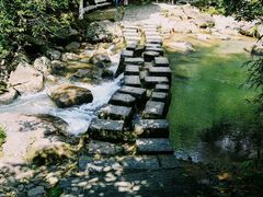-广州白江湖森林公园