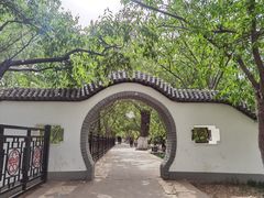 -桃花堤公园