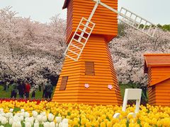 -苏州上方山国家森林公园