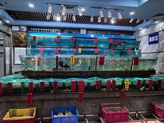 -海大大蒸汽海鲜餐厅·粤菜·特色小炒(欢乐颂店)