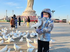 -天津妈祖文化园