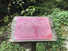 -夏霖九天银瀑风景区