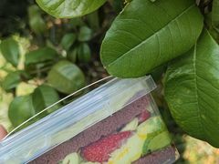 -君之狮子山·轻糖烘焙(松江印象城店)