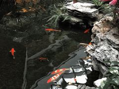 -广州白天鹅宾馆