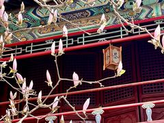 -潭柘寺景区