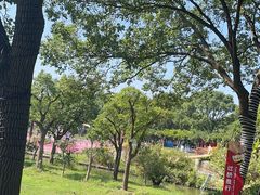 -苏州太湖西山岛开心农场