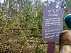 -武隆天坑寨子景区