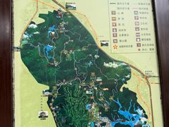 -大屏嶂森林公园