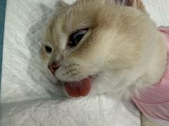 -纳吉亚猫专科动物医院博雅分院