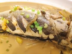 海鲈鱼-宝燕海鲜(好爱店)