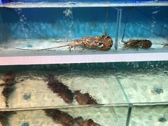 -盒马鲜生(首义店)