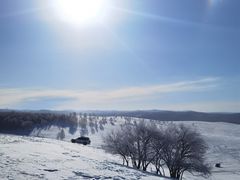 -塞罕坝国家级自然保护区