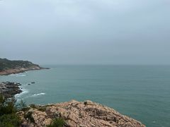 -广东惠东海龟国家级自然保护区