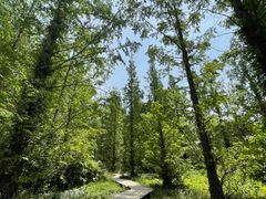 -国家植物园南园