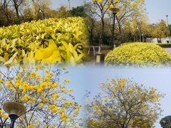 -广州市白云山风景名胜区