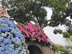 -无锡蠡湖国家湿地公园-蠡园