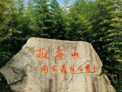 -敬亭山风景名胜区