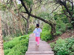 -白草畔自然风景区