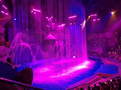 -芜湖新华联大白鲸海洋公园