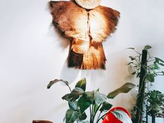 -杨家火锅(国美店)