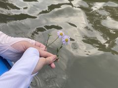 -泽雅七瀑涧景区
