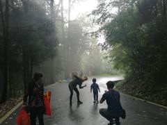 -南岳衡山风景名胜区