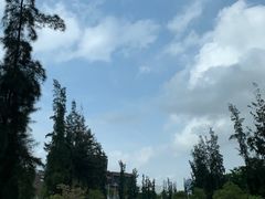 -深圳大学总医院