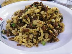 -全乐鱼馆·淳牌有机鱼直营店